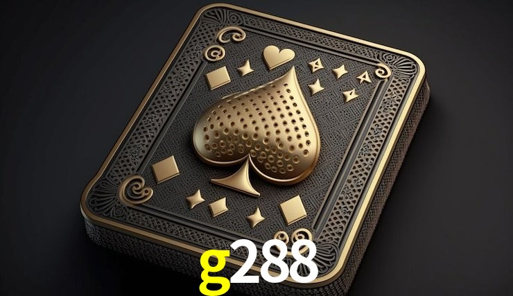 Experiência VIP g288